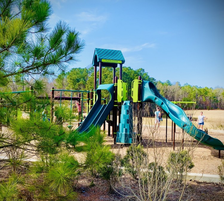 ve-and-lydia-h-owens-recreational-park-at-bull-creek-photo